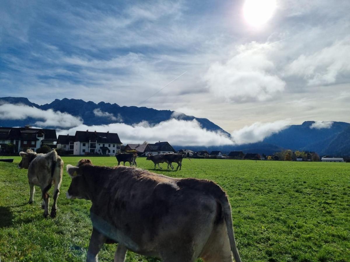 Urlaub Am Bauernhof Bei Familie Steinbrecher Bad Mitterndorf Exteriör bild
