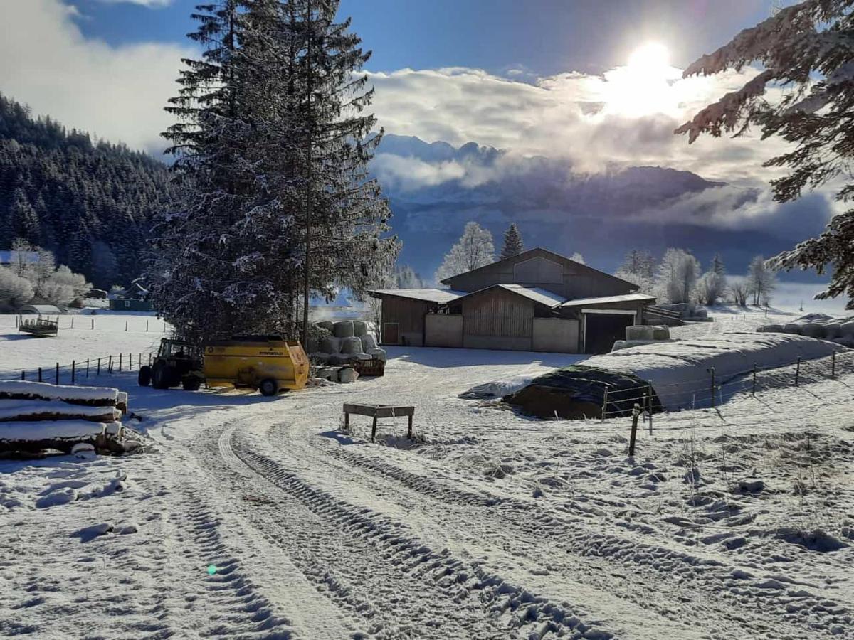 Urlaub Am Bauernhof Bei Familie Steinbrecher Bad Mitterndorf Exteriör bild